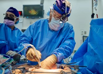 -Ekskluzive-
 Veshka e derrit transplantohet me sukses në trupin e pacientit të vdekur