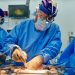 -Ekskluzive-
 Veshka e derrit transplantohet me sukses në trupin e pacientit të vdekur